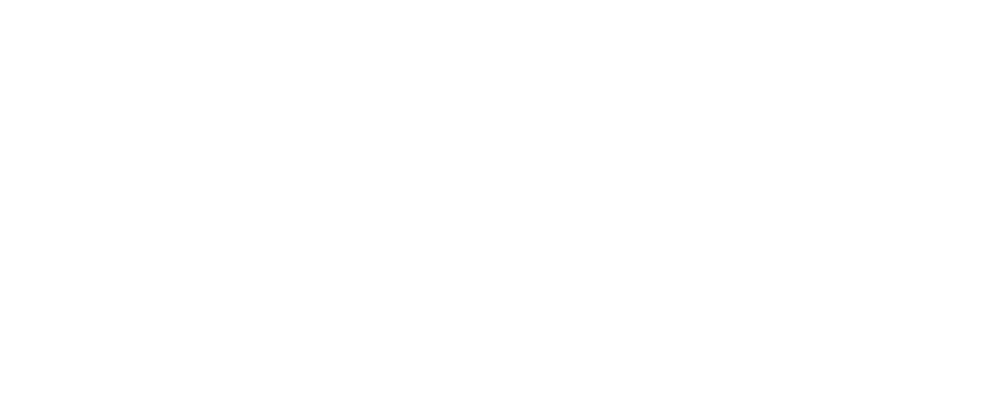 BOOMTOWN WHITE LOGO